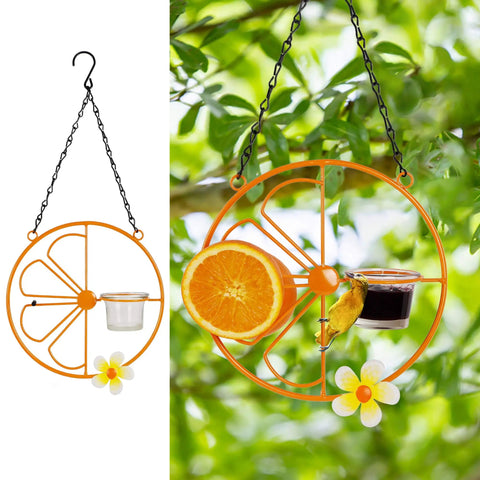 Oriole Bird Feeder For Outdoors Jelly And Oranges, Orange Fruit Feeder With Glass And Metal Build, shown in garden setting