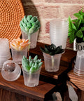 Clear 2 Inch Mini Plastic Plant Pots 200 Pack Seedling Starter Pots With Drainage Holes for succulents and cuttings