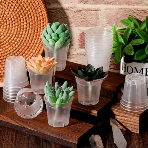 Clear 2 Inch Mini Plastic Plant Pots 200 Pack Seedling Starter Pots With Drainage Holes for succulents and cuttings