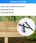 Heavy Duty Black Wood Screws Assortment Kit 485 Piece Self Tapping Set Featuring Carbon Steel Construction with screws on wooden sign in forest.