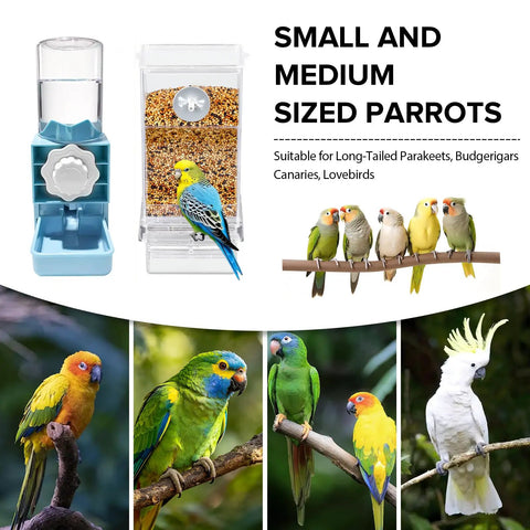 Ditch The Floor Debris With This No Mess Bird Cage Feeder And Automatic Water Dispenser image showing parakeets and bird feeders.