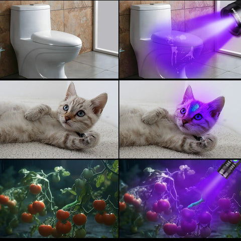 Rechargeable USB 395nm UV Black Light Flashlight Mini Ultraviolet LED Torch detecting stains on surfaces