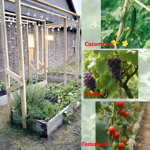 Tomato Support Hooks With String, 20 Pack Tomato Trellis Roller Hooks With 49.2 Ft String For Plants, Greenhouse Tomato Vines, Crop Trellis Kit, Plant Roller Hook, Pro Grade Durable Metal And PP Rope
