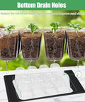 Six Pack Seed Starter Trays With A 10 By 20.75 Inch Seedling Heat Mat And Humidity Dome Kit showing drainage and seedlings.