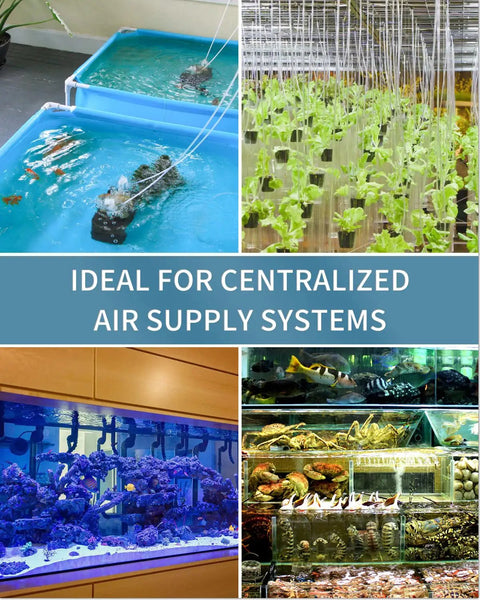 Aquarium and hydroponic systems using 24-Pack Aquarium Thread Air Control Valves for 3/16 in Tubing with centralized air supply.