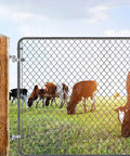 Chain link fence with cows grazing behind, showcasing 304 Stainless Steel Gate Hinge Set M12 by 8 Inch J Bolt Gate Hinges.
