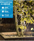 6 Pack Outdoor Landscape Lighting Kit With 1800 Lumens 12V Low Voltage Transformer IP65 Waterproof Uplights illuminating tree