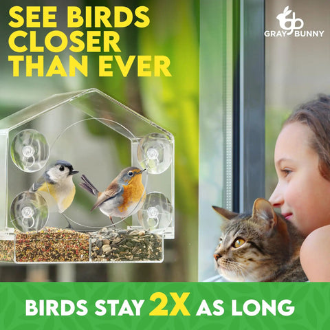 Window Bird Feeder With Ultra Strong Suction Cups For Easy Backyard Birding Clear Acrylic Body With Drain Holes And Removable Tray