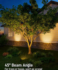 Low Voltage LED Landscape Spotlights 5W 12V Outdoor Pathway Lights illuminating a tree and house façade at night