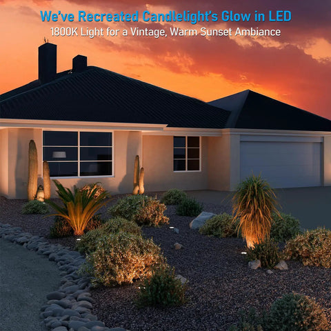 In Ground Well Lights Kit 4 Inch Flat Top illuminating landscape at sunset with 1800K warm glow, oil rubbed bronze, CRI90