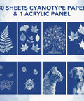 Dope Sun Print Cyanotype Kit With 30 Sheets Of Paper And Acrylic Panel showing nature and animal prints.