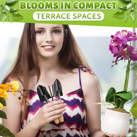 Woman holding Mini 3 Piece Garden Tool Set With Trowel Shovel And Hand Rake For Indoor Plants against floral background.