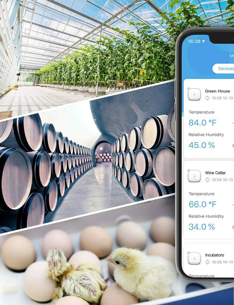 Smart Thermometer Hygrometer With WiFi And App Alerts shown monitoring a greenhouse, wine cellar, and incubator for real-time data