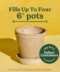 Start Your Indoor Plant Glow Up For Top Shelf Potting Mix For All Houseplants Keeping Roots Thriving For Up To Six Months With Peat Moss Coconut Coir And Perlite Boosting Water Retention And Release In A 6 Quart 2 Pack Bundle Ready For Any Room - Ceramic pot with saucer for 6 inch plants.