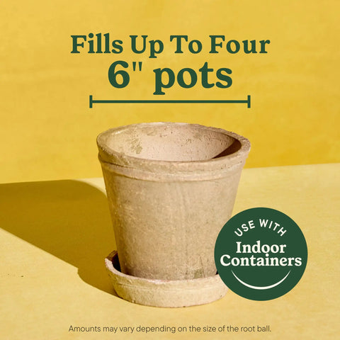 Start Your Indoor Plant Glow Up For Top Shelf Potting Mix For All Houseplants Keeping Roots Thriving For Up To Six Months With Peat Moss Coconut Coir And Perlite Boosting Water Retention And Release In A 6 Quart 2 Pack Bundle Ready For Any Room - Ceramic pot with saucer for 6 inch plants.