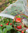Ultra Fine Garden Netting 10 By 50 Feet For Raised Beds And All Veggies Mosquito And Pest Barrier Mesh over strawberry plants, blocking birds