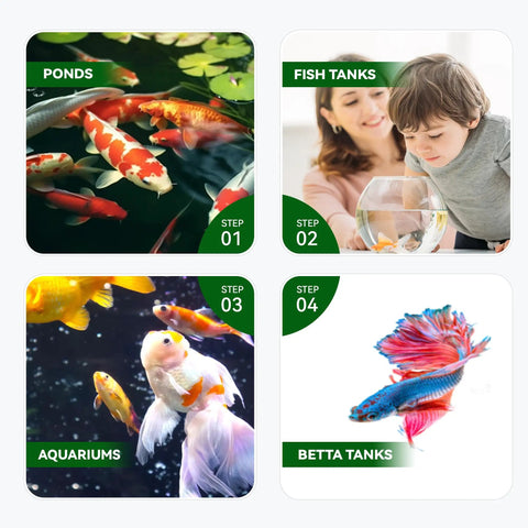Game Changer 11 In 1 Aquarium Water Test Strips For Ph Ammonia Nitrate And Hardness 125 Ct Fish Tank Test Kit visual instructions for pond and fish tank care