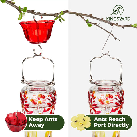 Glass Hummingbird Feeder For Outdoors Hanging 25 Oz Leak Proof Red With Ant Moat And Six Bee Proof Feeding Ports Easy To Clean And Refill Great For Garden Watching And Bird Lovers