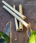 Solitary Bee Bamboo Tubes 4 Inch Pack Of 100 Bee Friendly Nesting Tubes on wooden surface with green leaf