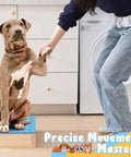 Dog on Dog Training Platform With Non Slip Surface Place Board For Agility Obedience Training Portable Pivot Box Puppy Stand