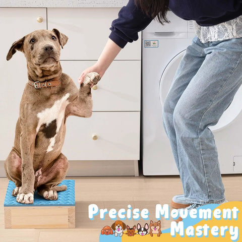 Dog on Dog Training Platform With Non Slip Surface Place Board For Agility Obedience Training Portable Pivot Box Puppy Stand