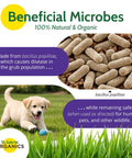 Milky Spore Powder 10oz Natural Grub Killer For Lawns Using Bacillus Popilliae Spores For Japanese Beetle Control Long Lasting Protection
