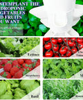 Dope Vertical Hydroponic Grow Tower For Indoor Or Outdoor Grow, Six Layer System With Thirty Plant Sites, plant variety showcase.