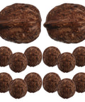 24Pcs Realistic Artificial Walnut Nuts Miniature Faux Fruit Photo Props For Home Table Display Staging And Food Styling