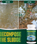 Pro Pond Muck Reducer For Fish Ponds Baths And Fountains No Fuss Easy And Efficient Deep Clean With 500 Tablets 500g package