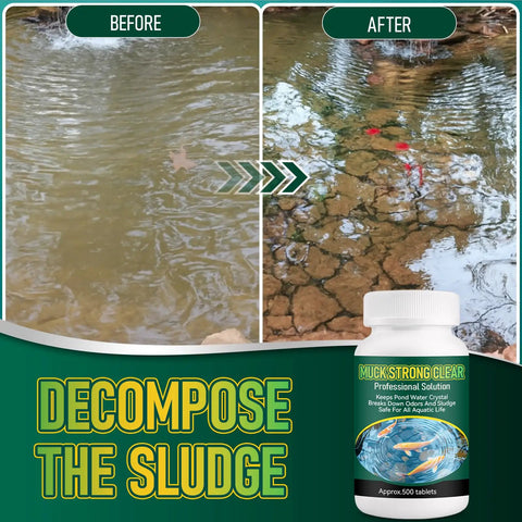 Pro Pond Muck Reducer For Fish Ponds Baths And Fountains No Fuss Easy And Efficient Deep Clean With 500 Tablets 500g package
