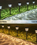 8 Pack Solar Pathway Lights With Two Color Modes Warm White And Cool White Waterproof Outdoor Path Lighting installation