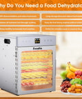 Straight Up Heavy Duty 12 Tray Food Dehydrator For Jerky And Dog Treats, 1200W Motor, with display and dried fruits on counter.