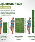Size comparison chart for 20 By 50 Inch Artificial Privacy Grass Wall Decor With Ficus Leaves And Faux Trellis Expandable Lattice Panels.
