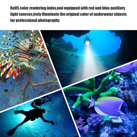 Collage of underwater scenes with Lit 5000LM LED Rechargeable Headlamp For Scuba Diving illuminating sea life.