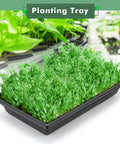 Five Pack Plant Growing Trays For Seed Starting And Microgreens Dope Leakproof Reusable Plastic Germination Starter Flats No Holes