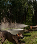 Jet Nozzle Pressure Washer Hose Attachment Be a Cleaning Beast With This Power Wand for garden hose spraying water onto a playful dog.