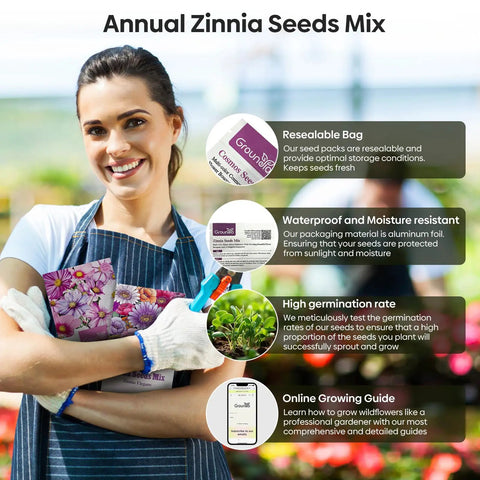 Zinnia Seeds Mix Open Pollinated 1 Oz Bulk Pack With Five Varieties Pink Yellow Orange White Purple Great For Colorful Garden Beds Big Bright Blooms And Easy To Grow