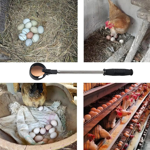 Egg Grabber Reacher Tool For Easy Egg Collecting From The Chicken Coop, Telescoping Extender Reacher Grabber For Clean Hands And Quick Pickup, Farm And Poultry Nest Accessory, Perfect Homesteading Essential