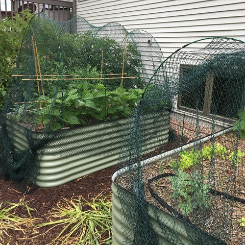 Fiberglass Garden Hoops For Raised Beds Pack Of Six Sets 8 Foot Heavy Duty Rust Proof Grow Tunnel Frames For Garden Netting Row Cover Shade Cloth Protect Outdoor Plants Tough As Nails Easy Setup For Greenhouse And Outdoor Gardens