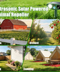 Solar Ultrasonic Animal Repellent With Motion Sensor And Bright LED Flash Light For Yard Garden Farm Outdoor Use IP66 Waterproof Scares Deer Cats Squirrels Raccoons And Critters Weatherproof 4 Pack shown in yard, farm, orchard and camping