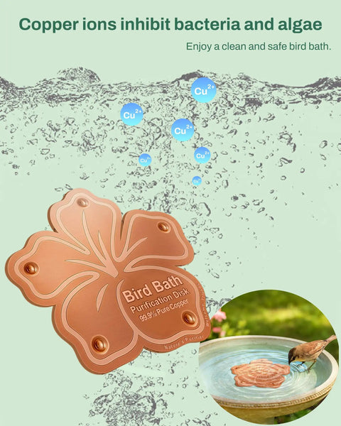 Pure Copper Bird Bath Purification Disk Solar Powered Outdoor No Chemicals Needed Water Cleaner in bird bath illustration