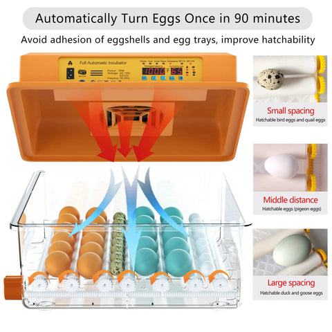 Automatic Egg Incubator For Hatching Eggs With Humidity Control And Auto Egg Turning 36 Egg Capacity For Chicken Quail Duck