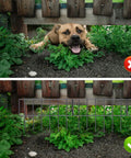 25 Pack Animal Barrier Fence For Garden, 17 Inch High By 27 Feet Long Rustproof Metal Wire Border Fence stopping a dog