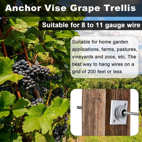 Pro Grade Anchor Vise Set For 8 To 11 Gauge Wire shown in use with grape trellis support installation and vineyard application.
