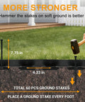 Durable 60 Foot Landscape Edging Kit With 60 Stakes 2 Inch Tall Border For Lawn And Flower Beds Quick No Dig Install Easy Setup Plastic Edging For Landscaping Paver Edge Black