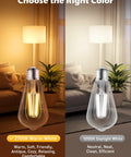 Comparison of 2700K warm white and 5000K daylight white LED Edison bulbs in living room setting