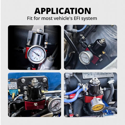 EVIL ENERGY fuel pressure regulator, 6AN EFI bypass, adjustable 30–70 PSI, red body with gauge (front view)

EVIL ENERGY fuel pressure regulator, 6AN EFI bypass, adjustable 30–70 PSI, red body with black top (side view)

Close-up of EVIL ENERGY adjustable fuel regulator with gauge on red housing (close-up view)

EVIL ENERGY fuel regulator installed in engine bay with blue hoses and fittings (installed view)