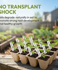 40 Pack Seed Starter Trays With 480 Cells Biodegradable Peat Pots Made From Paper And Grass Charcoal in a sunny garden.