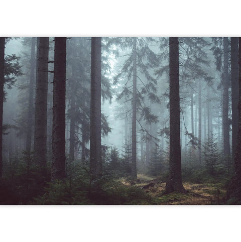 Forest Landscape Wall Mural Peel And Stick Wallpaper For Bedroom And Living Room, misty pine trees view, 100x144 inches 6-piece set