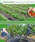 Pro Grade Premium Heavy Duty Weed Barrier Fabric For Landscaping Farming And Gardening And Agriculture 2Ft By 50Ft 100 Percent Virgin Material Durable Woven Landscape Fabric For Weed Control Under Mulch Or Gravel 3.2oz installed in strawberry and blueberry fields